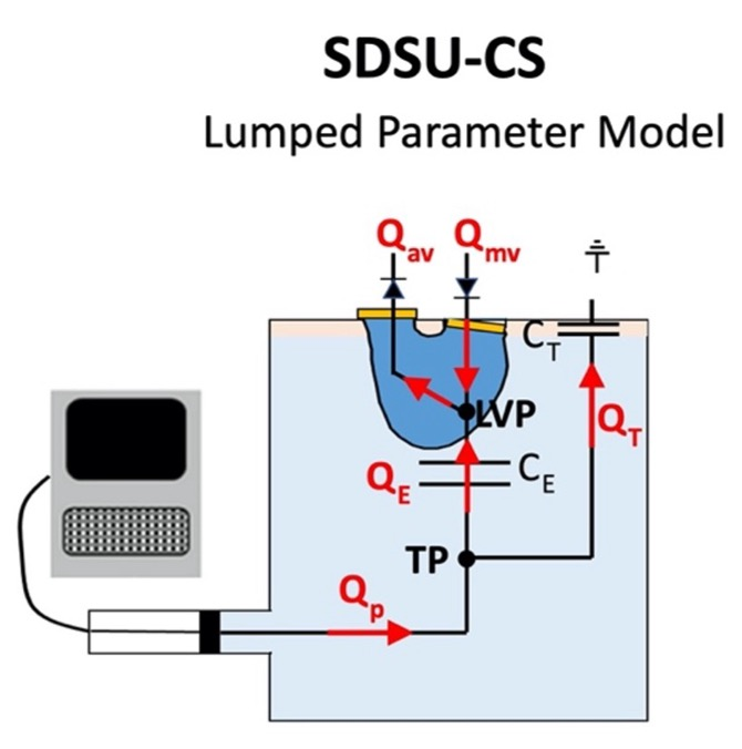 SDSU-CS lumped-parameter computational model schematic