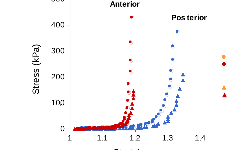 Nonlinear stress stretch measurements of anterior and posterior mitral leaflets under biaxial loading